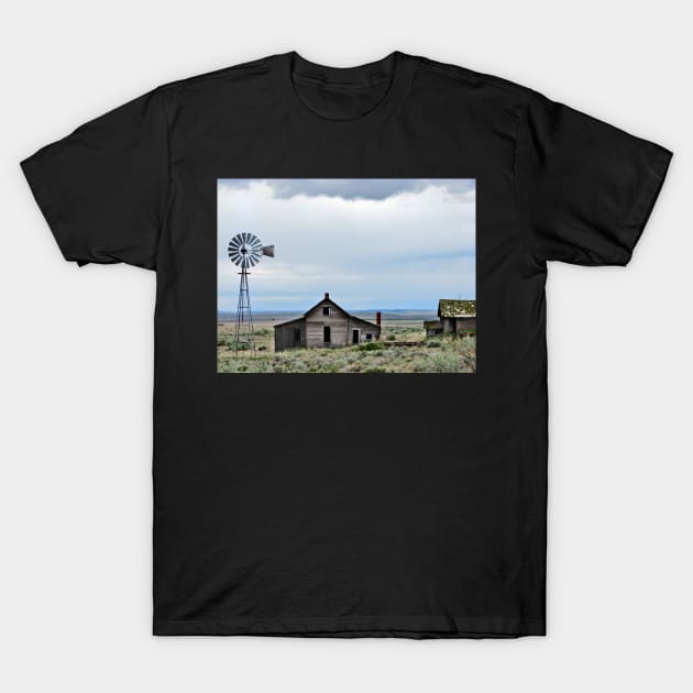 Abandoned Homestead T-Shirt by Lines